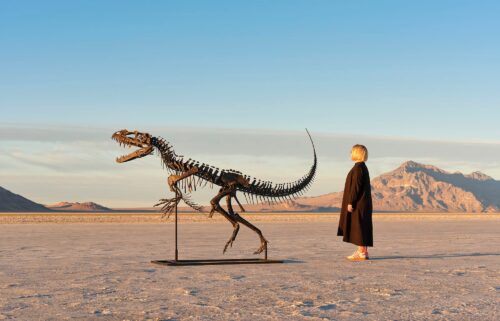 A human is pictured standing next to the fossil.