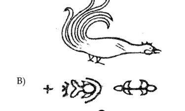 A bird