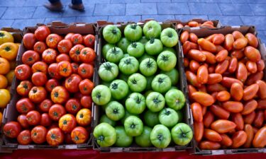 Tomatoes contributed a gene that signaled tuber growth in the first potato plants.