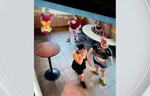 A group of at least four individuals was seen on camera.
