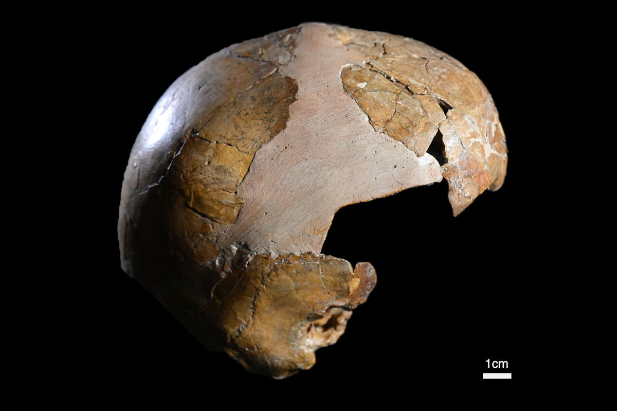 <i>Tel Aviv University via CNN Newsource</i><br/>The cranium of a child discovered at the Skhul Cave site looked like that of a Homo sapiens skull.