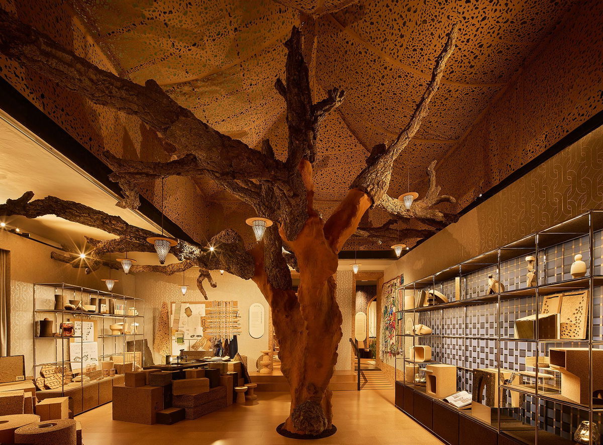 <i>Ed Reeve/Rockwell Group via CNN Newsource</i><br/>David Rockwell