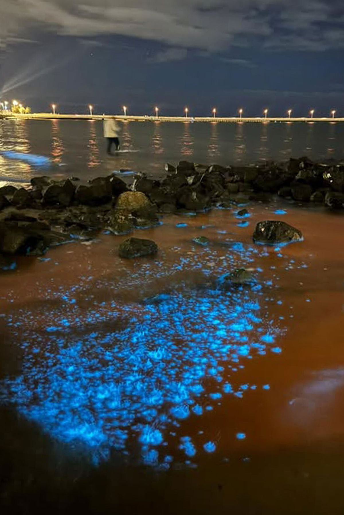 <i>Rana Sajid Hussain/Pacific Press/Shutterstock via CNN Newsource</i><br/>Bioluminescent algae at St. Kilda Beach in Melbourne