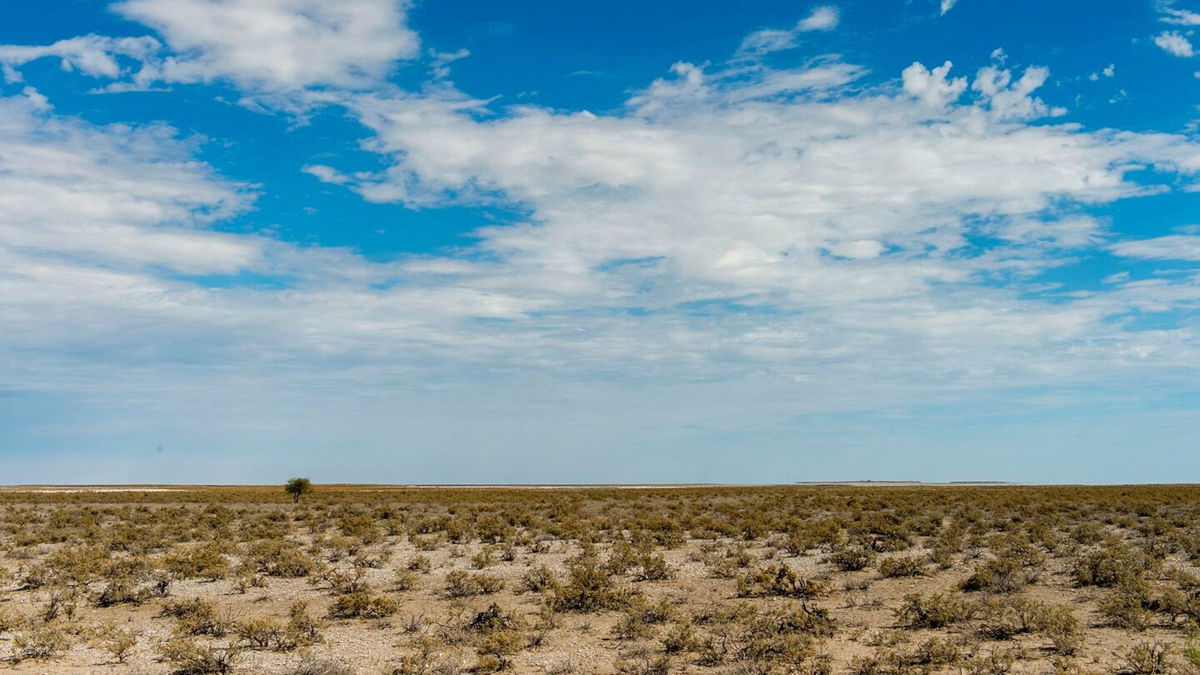 <i>Wolfgang Kaehler/LightRocket/Getty Images/File via CNN Newsource</i><br/>A view of the Etosha National Park in northwestern Namibia.